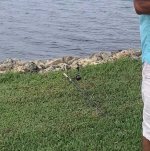 19144864-CC88-425B-8D2E-D527AF0FE59B.jpeg
