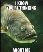F02F7EB5-8F82-4B45-BC74-AE2255B1BDB2.png