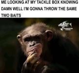 1682894883537.png