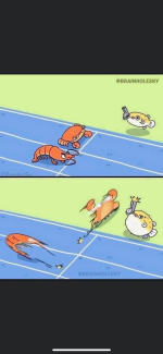 1684104525513.png