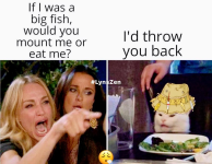 1699221174313.png