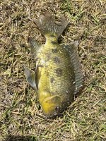IMG_7772.jpg