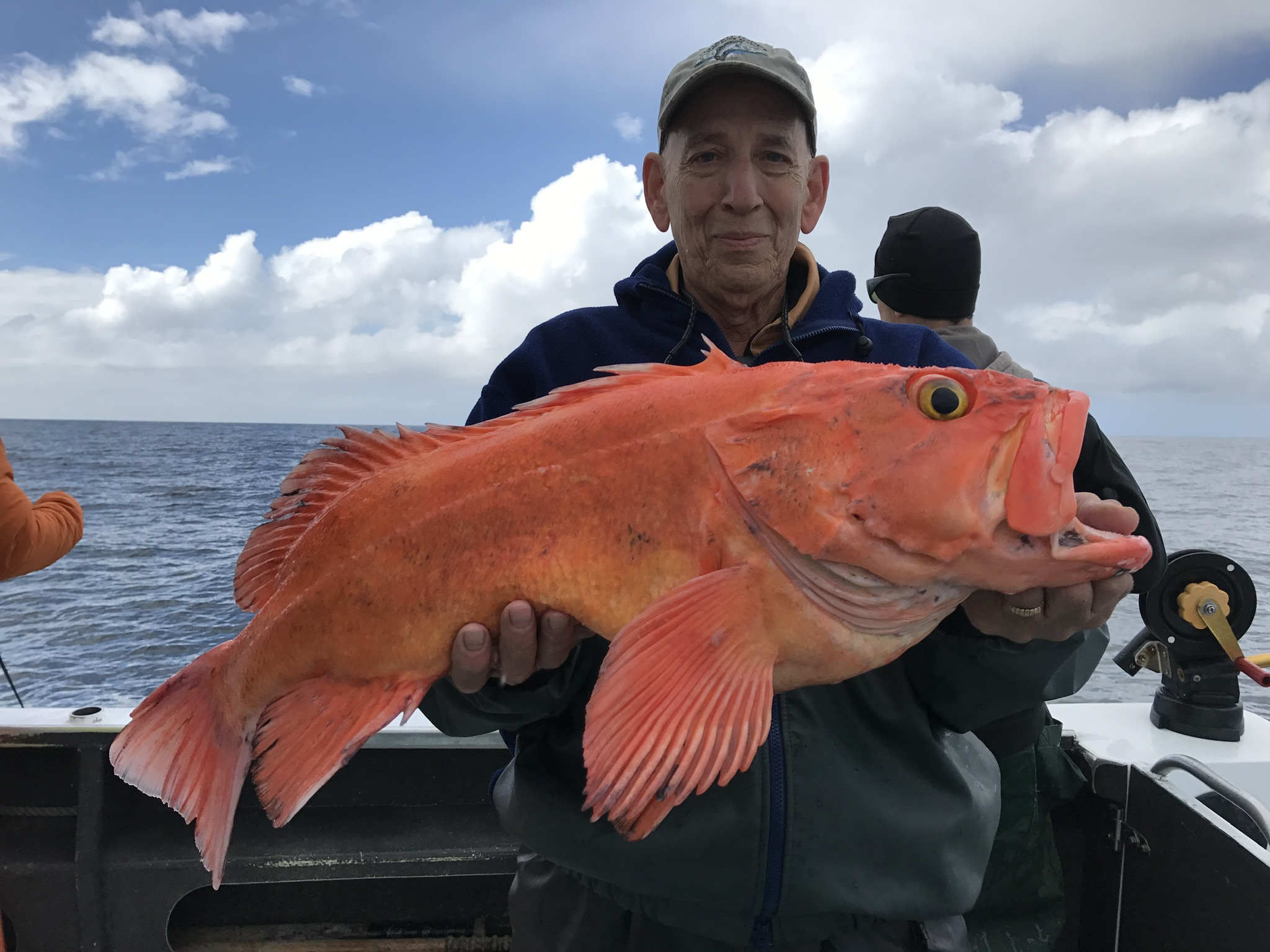 Yellow Eye Alaska